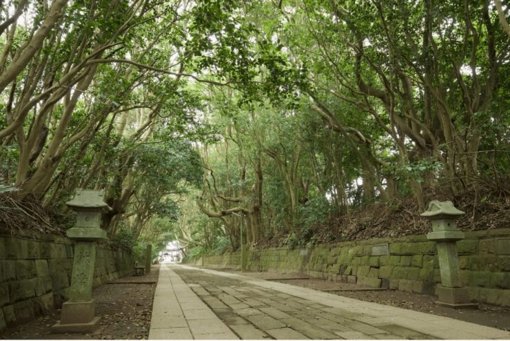 茨城縣 茨城縣觀光 茨城縣旅遊 茨城縣景點推薦 茨城觀光 茨城旅遊 茨城景點20.22