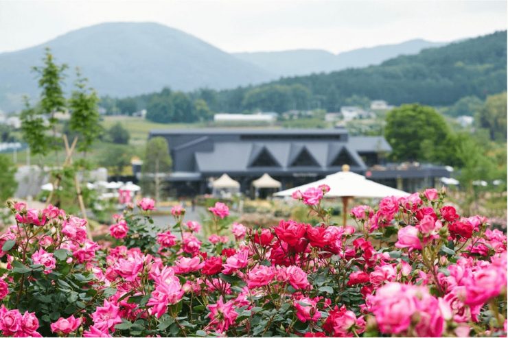 茨城縣 茨城縣觀光 茨城縣旅遊 茨城縣景點推薦 茨城觀光 茨城旅遊 茨城景點22.57
