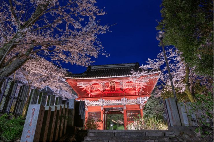 茨城縣 茨城縣觀光 茨城縣旅遊 茨城縣景點推薦 茨城觀光 茨城旅遊 茨城景點23.09